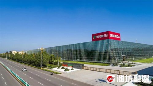 千里沃野競風流 松原軟件銷售的新篇章